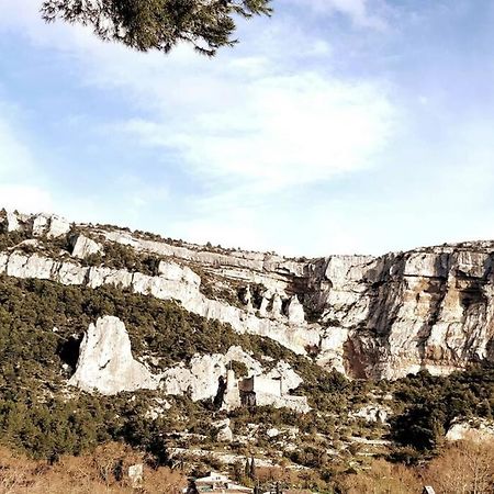 Vue Panoramique Sur Le Chateau,Montagne Et Grottes Fontaine-de-Vaucluse Esterno foto
