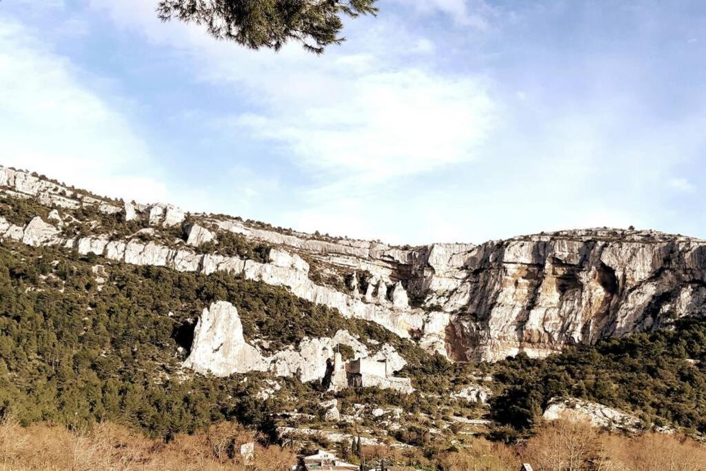 Vue Panoramique Sur Le Chateau,Montagne Et Grottes Fontaine-de-Vaucluse Esterno foto