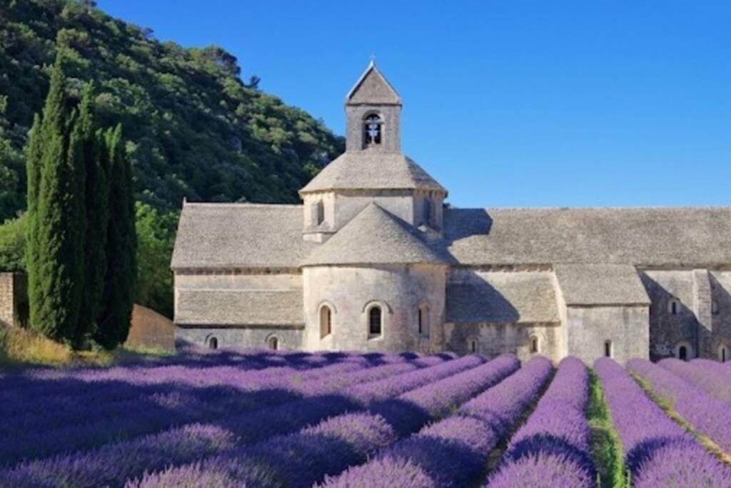 Vue Panoramique Sur Le Chateau,Montagne Et Grottes Fontaine-de-Vaucluse Esterno foto
