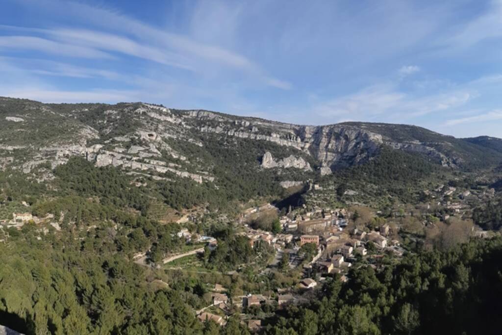 Vue Panoramique Sur Le Chateau,Montagne Et Grottes Fontaine-de-Vaucluse Esterno foto