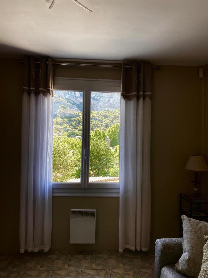 Vue Panoramique Sur Le Chateau,Montagne Et Grottes Fontaine-de-Vaucluse Esterno foto